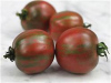 Black Vernissage is a saladette tomato with a rich tomato flavor. It is one of the first plants to produce for us and the healthy plants produce all season long!