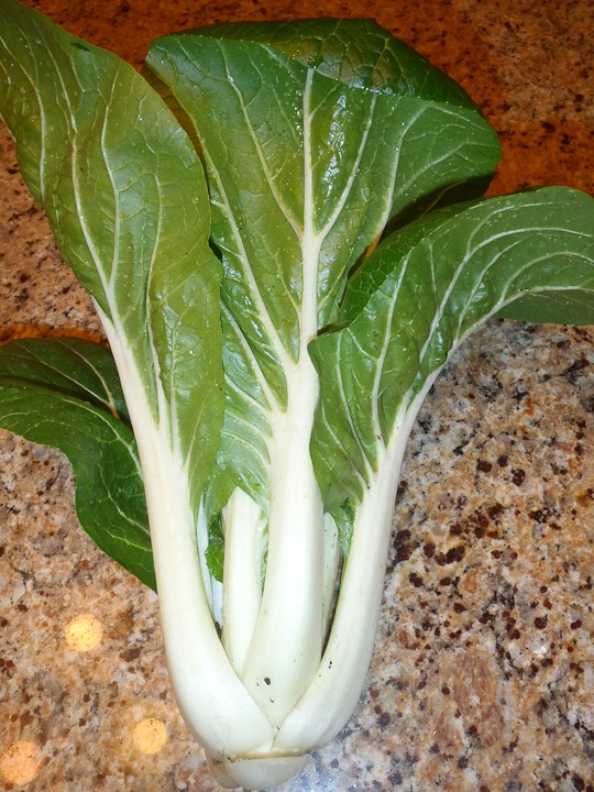 bok choy