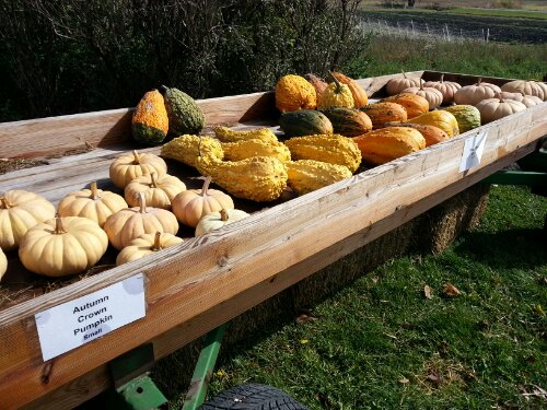 20121014_121024.jpg image