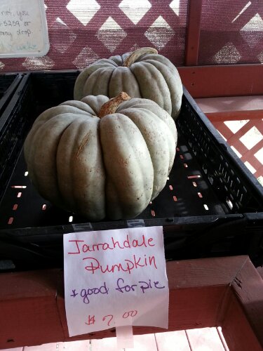 20121014_121525.jpg image