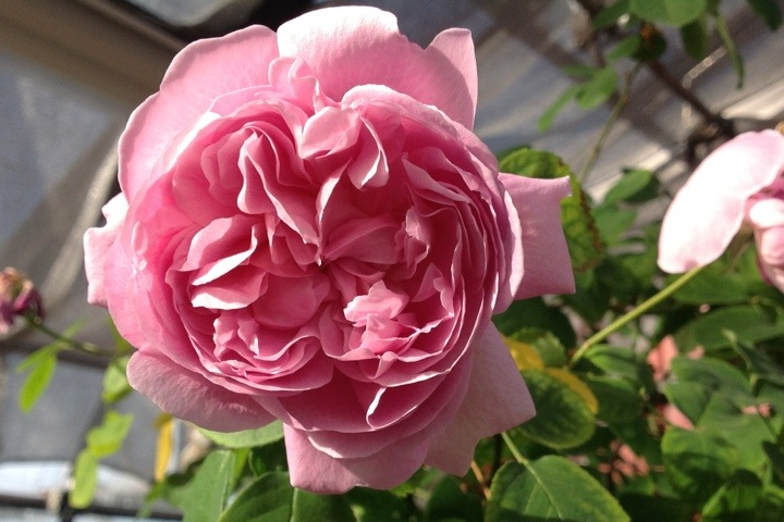 20130114-202703.jpg
