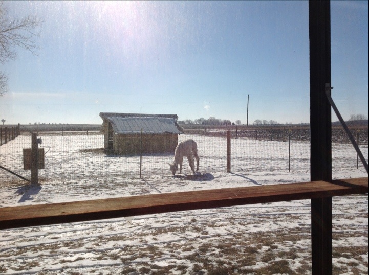 20130126-193020.jpg