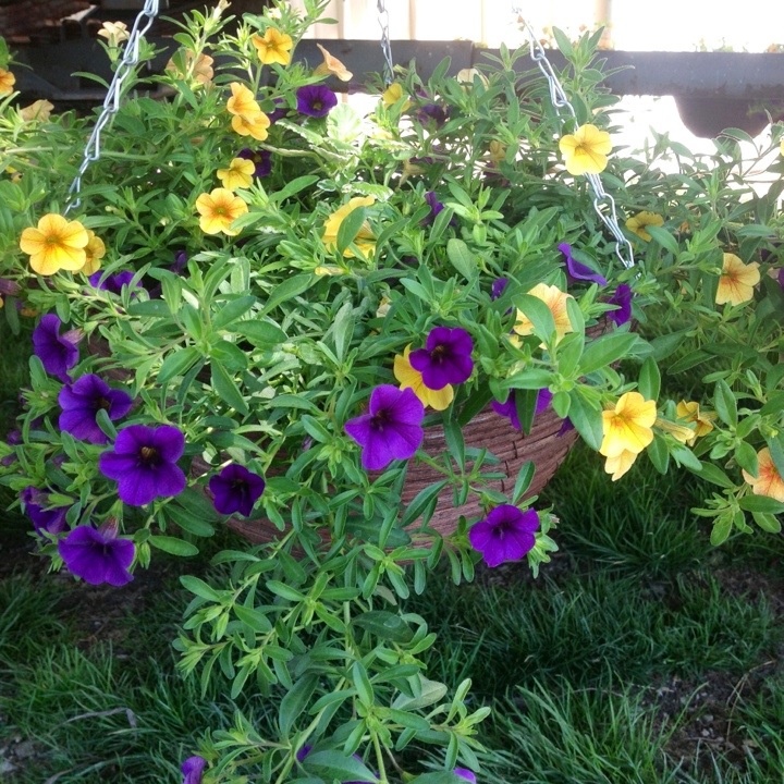 20130508-111730.jpg