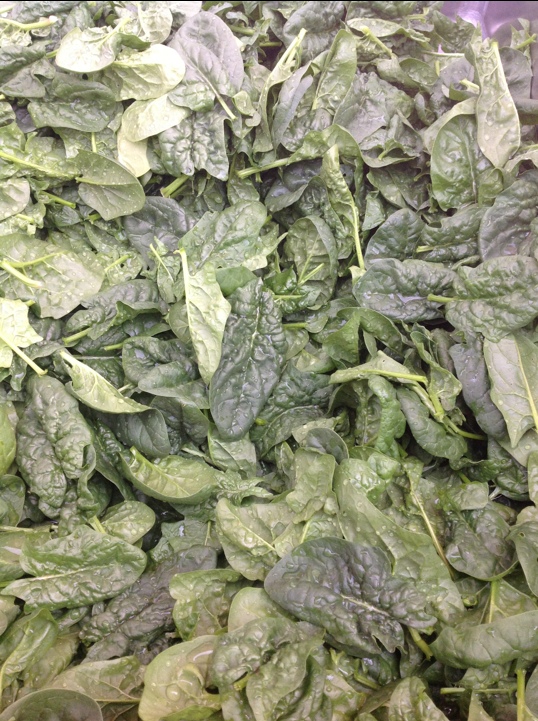 20130516-174544.jpg