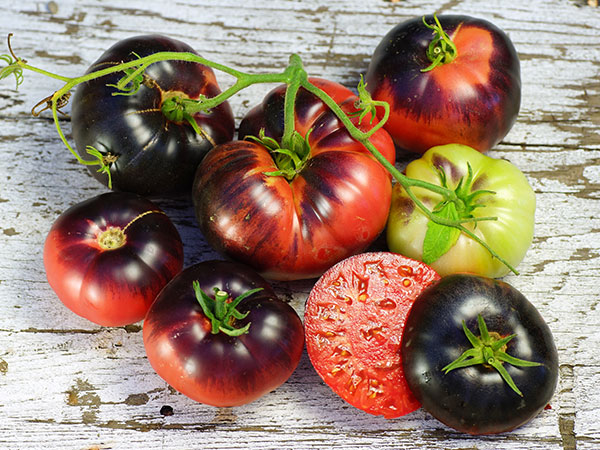 Blue-Beauty Blue Beauty is a modest beefsteak-type slicer with great flavor and outstanding antioxident content.