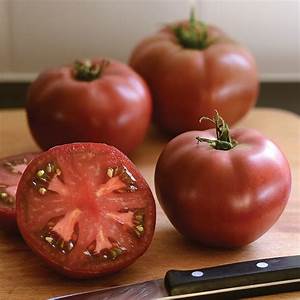 Carbon is a delicious, highly productive black heirloom. Resists cracking and cat-facing better than other large, black heirlooms.