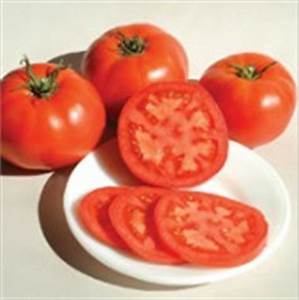 The 10-12 oz. medium-large, globe-shaped, bright red fruits are rather soft but meaty with plenty of old-fashioned tomato flavor. One of our earliest varieties.