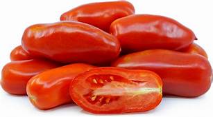 Famous Italian cooking tomato. Long, cylindrical fruit is filled with thick, dry flesh and few seeds. This heavy producing variety is a standard for many Italian farmers and chefs.