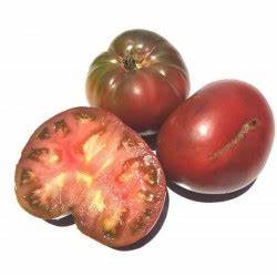 "A great-tasting tomato that is extra large in size and full of the deep, earthy and sweet flavor that has made blackish-purple tomatoes so popular. Some fruit tended to crack, but the yield was heavy, and the plants were vigorous and did well in our hot Missouri summer. Superior for salsa and cooking. We enjoyed these all summer, both fresh and in countless recipes. A great home garden variety that will surely become a favorite." description from the Bakers Creek catalog.