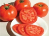 The 10-12 oz. medium-large, globe-shaped, bright red fruits are rather soft but meaty with plenty of old-fashioned tomato flavor. One of our earliest varieties.