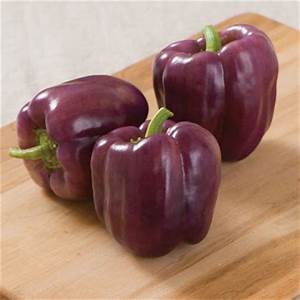 Islander is a medium size sweet bell. Starts out purple and changes to orange/yellow when fully ripe