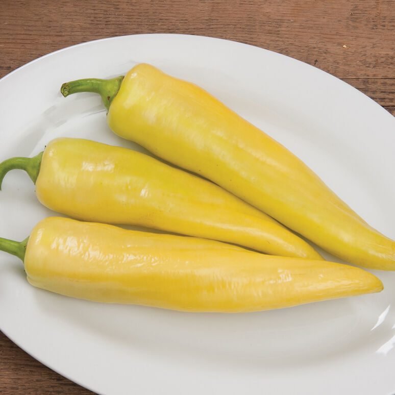 Goddess is a sweet banana pepper