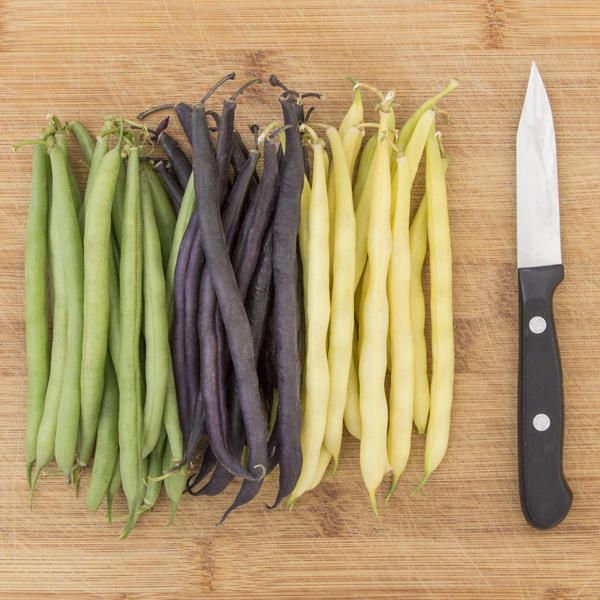 Bush-bean-Mardi-Gras-Blend