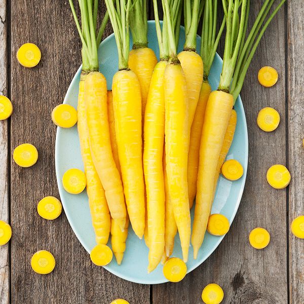 Carrot-Yellowstone