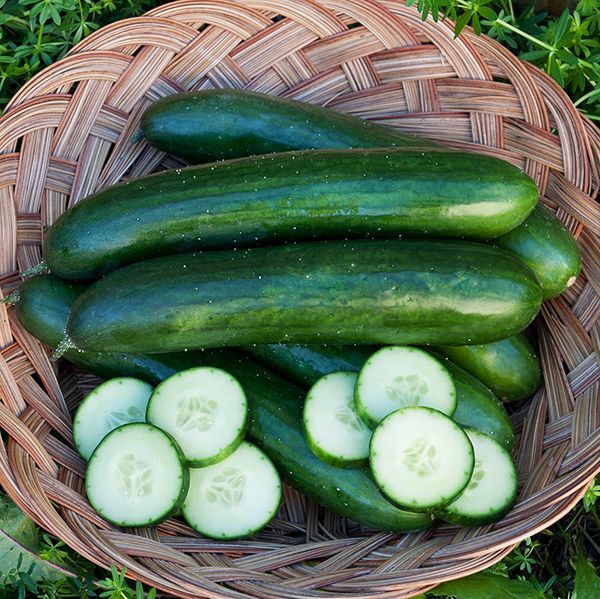 Cucumber-Green-Finger