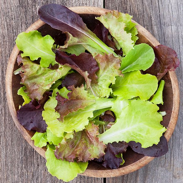 Gourmet-lettuce-Blend