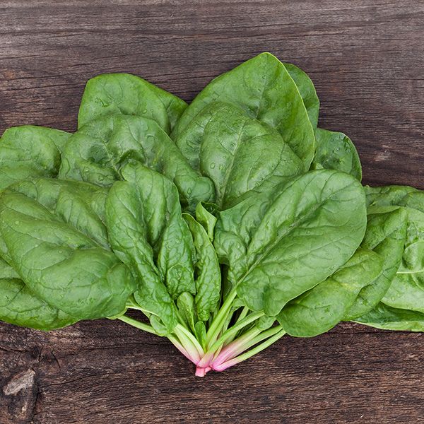 Spinach-Butterfly