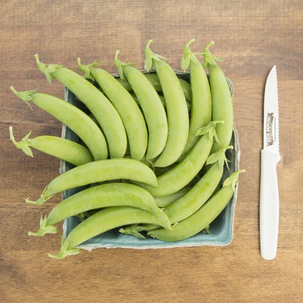 Sugar-Snap-Pea
