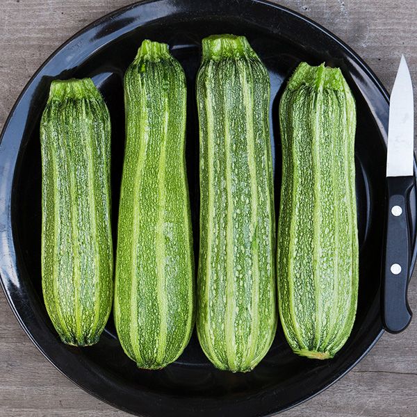 Zucchini-Costata-Romanesco