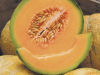 Delicious-melon